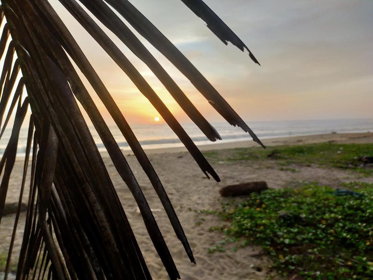 Marari Blessing Beach Front Homestay マラリクラム エクステリア 写真